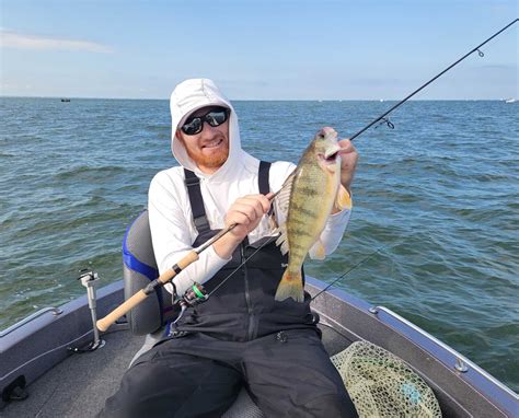 How to find perch in a lake