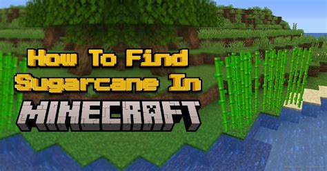How to find sugarcane in minecraft