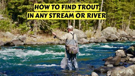 How to find trout in a river
