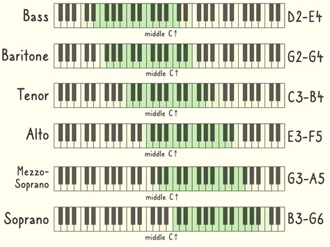 How to find vocal range. How to Find Your Lowest Note. To find your vocal range, start by finding the lowest note you can sing. Find middle C (C4) on the piano and sing a consistent vowel sound like "ah," "ee," or "oo," matching your voice to the C4 note. Now, go down all white keys and sing to each note until you reach the lowest recognizable pitch you can sustain. 