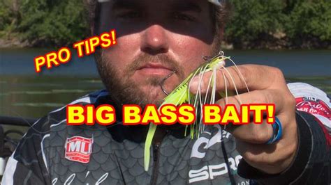 How to fish a chatterbait in summer