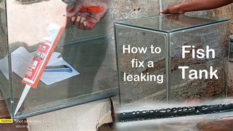 How to fix a leaking Aquarium Bulkhead - The Sunrise Post