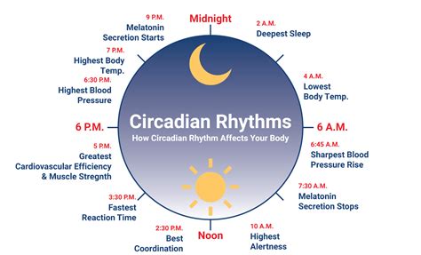 How to fix circadian rhythm.  This is important because when we utilize d...