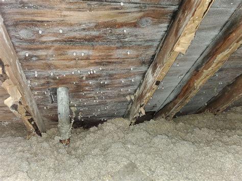 How to fix condensation in attic