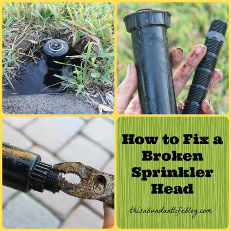 How to fix sprinkler head. Sep 4, 2022 · 3. Remove the old sprinkler head. Unscrew the sprinkler head from the riser counterclockwise. The riser may come with it and, if that’s the case, detach it from the head carefully, and remove the plumber’s tape and check the threads before attaching new tape and replacing it on the supply line if it’s in good condition. 