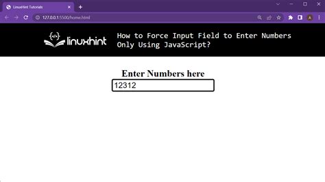 How to force Input field to enter numbers only using JavaScript