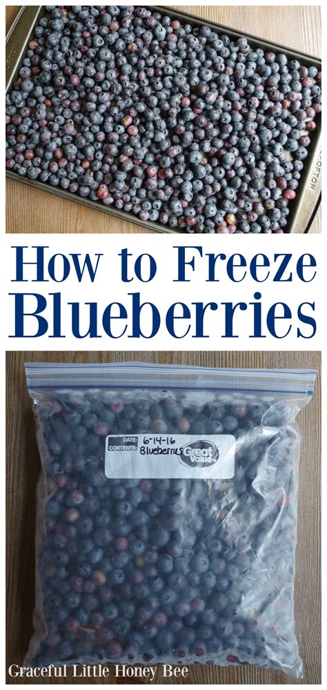 How to freeze blueberries. Things To Know About How to freeze blueberries. 