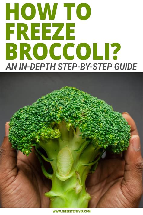 How to freeze broccoli. 