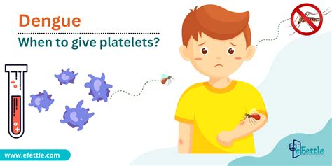 How to gain platelets in dengue