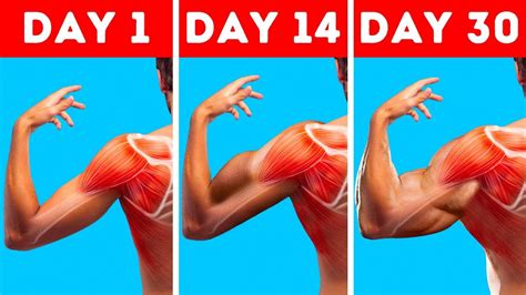 How to gain weight in shoulders