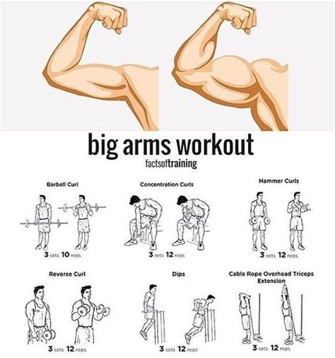 How to gain weight in your arms