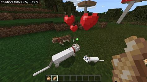 How to get Cats in Minecraft Breeding Taming More