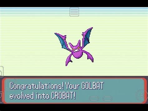 How to get Crobat in Pokemon Emerald YouTube