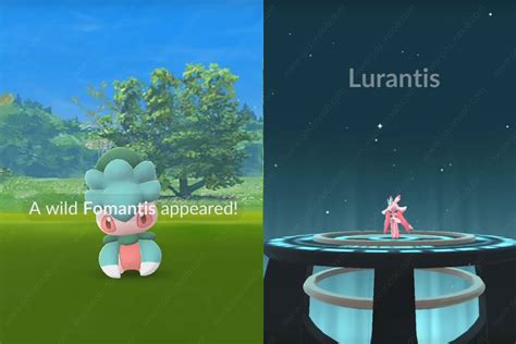 How to get Fomantis and evolution Lurantis in Pokémon Go 