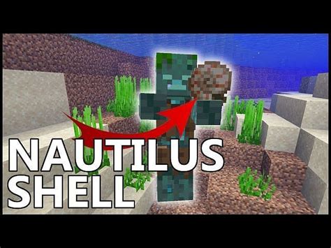 How to get Nautilus Shell in Minecraft 1 19 update 