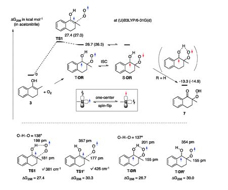 How to get a job in computational chemistry? : r/chemhelp - Reddit