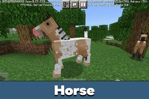 How to get a packhorse minecraft