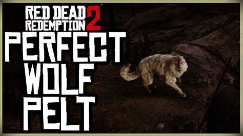 Legendary wolf is one of the legendary animals you can hunt in Red Dead Online. There are several subspecies of this animal, including the Moonstone wolf and Emerald wolf. Once you've found one, you can either sedate it and get the sample, or kill and skin it for the pelt. The samples can be sold to Harriet, while the pelts can be sold to Gus ....