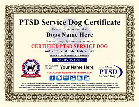 How to get a service dog certificate. Oct 29, 2023 · Registrations are typically done online and require just a few steps to complete: 1. Type the name of the service dog handler. The handler is typically the owner or the person responsible for the dog’s care. 2. Type in your service dog’s name. This is the name he would most likely respond to. 3. 