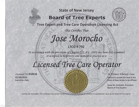 How to get a tree cutting license.  In most cases of tree removal, tree...
