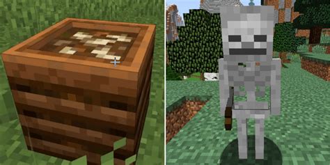 How to get bonemeal in minecraft