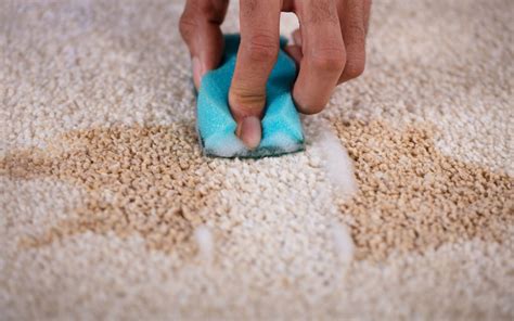 How to get brown stains out of carpet. Spray some hairspray onto the dyed area – this should be a thick layer. Leave the hairspray on the carpet for 5 minutes. Get a cotton cloth and gently remove the hairspray from the stained area – gently dab the area. Pop some astringent on the stained damp area – test it out first. Leave it for another 5 minutes. 
