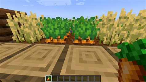 How to get carrots in Minecraft 1 19