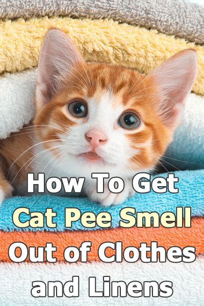 How to get cat pee smell out of clothes. Step #3: Adding Odor-Neutralizing Products. Add a cup of white vinegar or baking soda to the washing cycle to neutralize the odor and leave your clothes smelling fresh. The white vinegar solution and baking soda can work together to remove the cat urine smell from your clothes. 