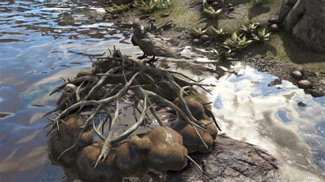 How to get cementing paste in ark