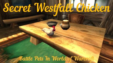 How to get chicken pet in westfall