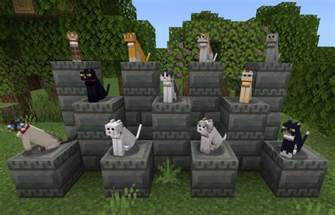 How to get different cat breeds in Minecraft