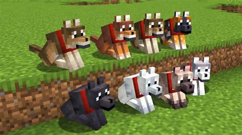 How to get different dogs in minecraft