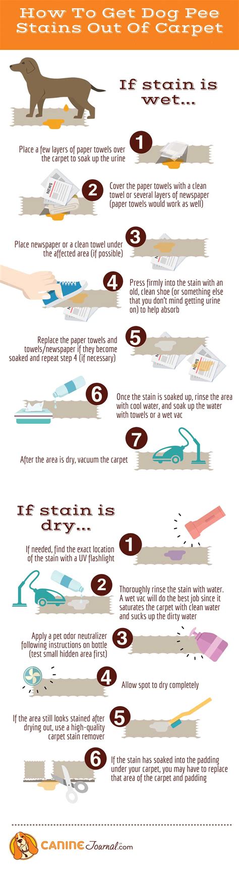 How to get dog pee out of carpet. Aug 21, 2020 ... Vinegar and Baking Soda · Cover the stained area with vinegar. · Sprinkle the baking soda on the top. · Cover it using a dish or towel for 1-2... 