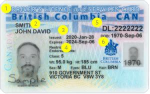 How to get drivers license in bc