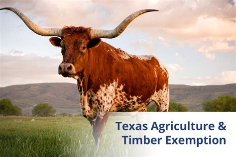 How to get farm exemption in texas