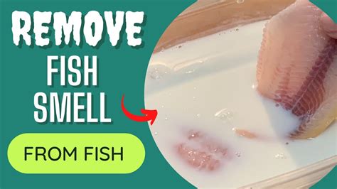 How to get fish smell out of house. Here's how: 1. Buy fresh fish and cook it immediately. The longer fish sits (even in your refrigerator), the smellier it gets. Have a recipe in mind before you hit the grocery store, and aim to ... 