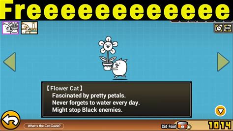 How to get flower cat battle cats. Tank Cat is one of the Normal Cats and the second cat the player obtains as a unit. It is unlocked after clearing Korea in Empire of Cats Chapter 1 and costs 0 XP (this used to be 500 XP) or a Normal Cat Capsule to unlock. True Form increases health and attack damage. Evolves into Wall Cat at level 10. Evolves into Eraser Cat at level 20+10 using Cat Tickets. Very short cooldown High health ... 