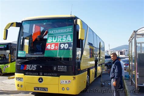 codini.rgarabwor.edu.pl. 