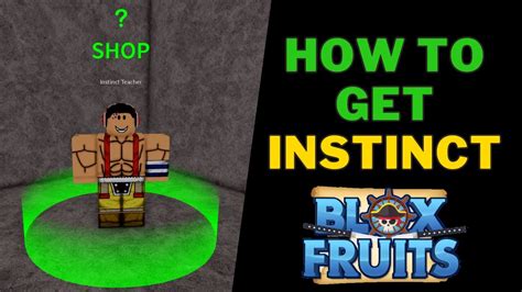 How to get instinct in blox fruit. Things To Know About How to get instinct in blox fruit. 