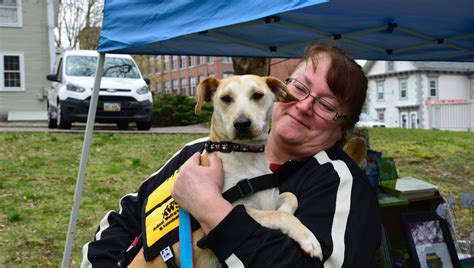 How to get involved in animal rights