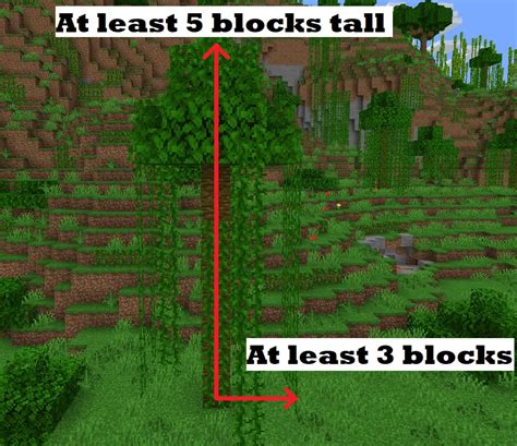How to get jungle saplings in minecraft