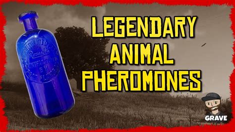 How to get legendary animal pheromones. Legendary Animal Pheromones Pamphlet: A pamphlet on how to craft Legendary Animal Pheromones. (Rank 10, $900.00) Events Protect Legendary Animal: Work as a team to escort a Legendary Animal to its destination. Kill and loot Poachers to gain XP and animal pelts along the way. (Rank 4) Wild Animal Tagging: Compete against others to sedate … 
