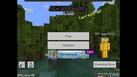 How to get minecraft mods on ipad