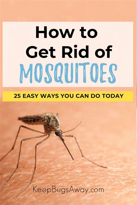 How to get mosquitoes out of your house. 4. Consider a combination of soybean and geranium oils. Similar to lemon eucalyptus spray, a combination of soybean and geranium oils can be an effective repellent. It comes in a close second to lemon eucalyptus in effectiveness and is safe for most pets. Look for a brand such as PetFresh Bite Blocker. 