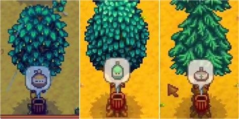 Oak Resin is a valuable resource in Stardew Valley