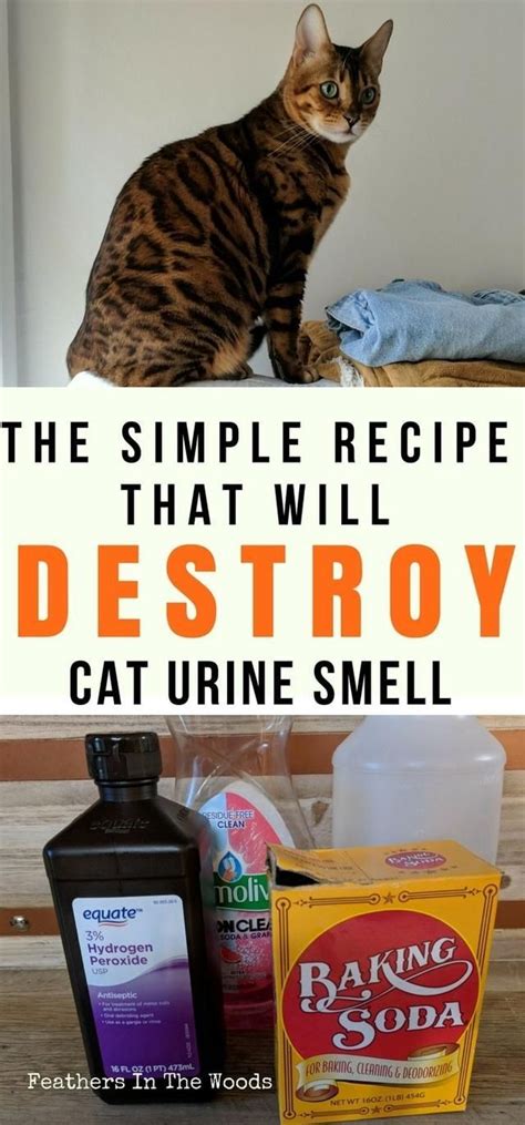 How to get out cat pee smell out of clothes. Some of the products you may use to get rid of the cat pee smell could actually be in the house. You may use vinegar and water to wash off the stains from the sprayed item. To make it more effective you may go ahead and leave baking soda on the washed surface. The latter has the ability to soak up smells from fabrics. 