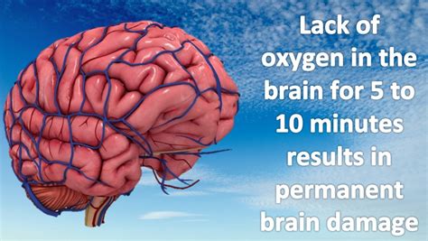 How to get oxygen in brain