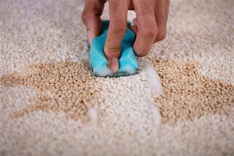 How to get pee stains out of carpet. 1) Mix 1 cup of water with 2 cups of 70% isopropyl alcohol. 2) Mix 1/2 cup of household ammonia, with 2 cups of water. 3) Pure cooking vinegar (5% - … 