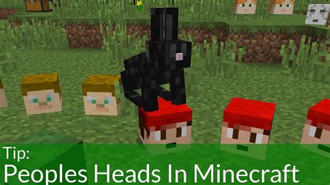 How to get peoples heads in minecraft