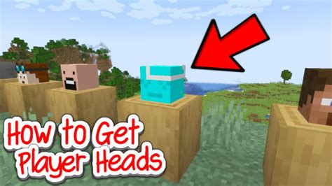 How to get player heads in minecraft